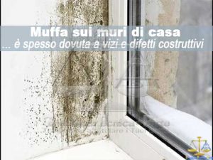 Perizia muffa sui muri di casa vizio costruttivo errore di posa