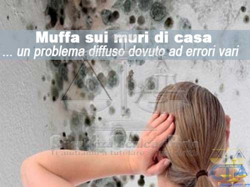 Muffa sui muri